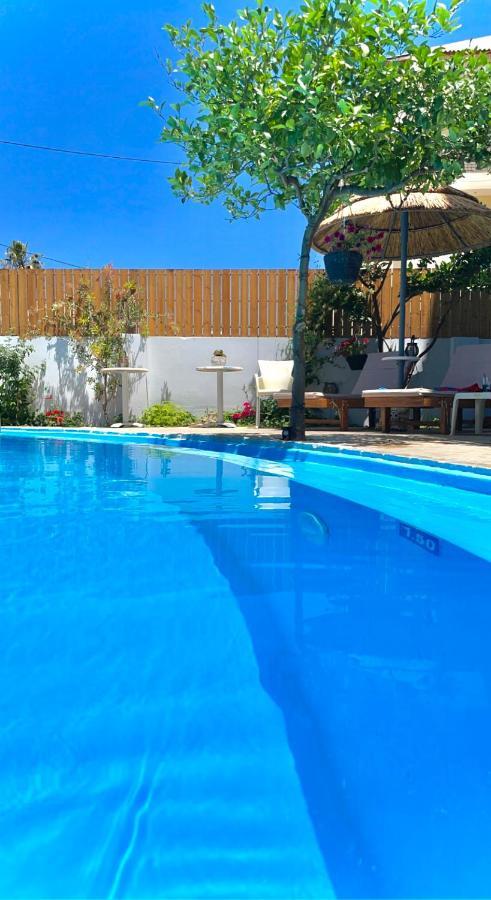 Rodi Blue Apartments Amoudara Lasithiou Dış mekan fotoğraf